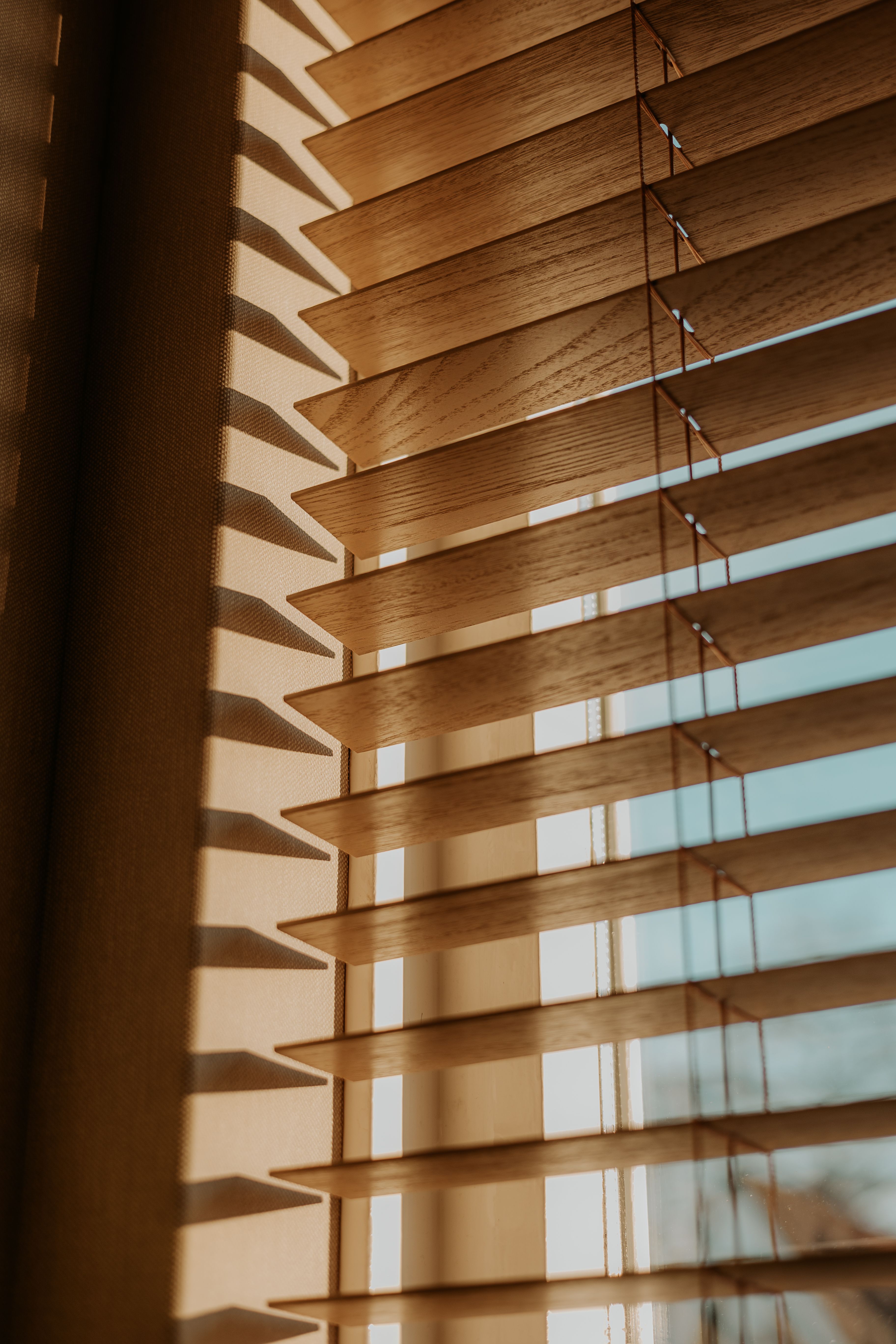 Window Shades